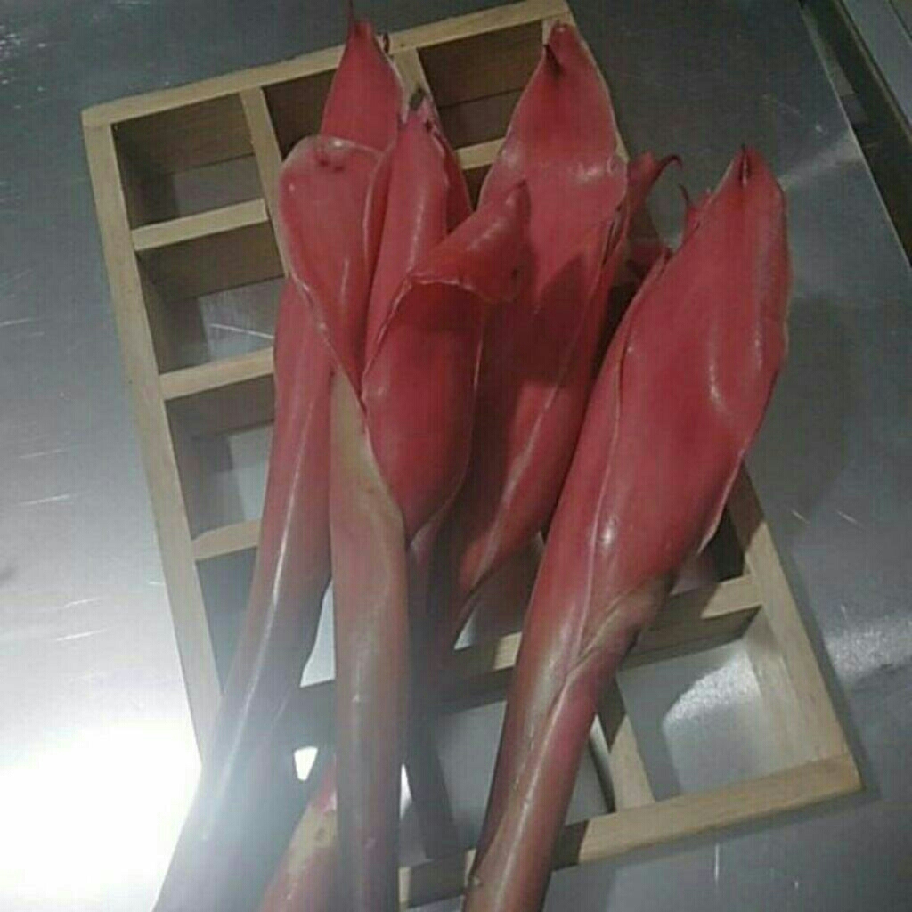 

buanga kecomrang merah per satu iket ..1, iket nyah isi nyah 5