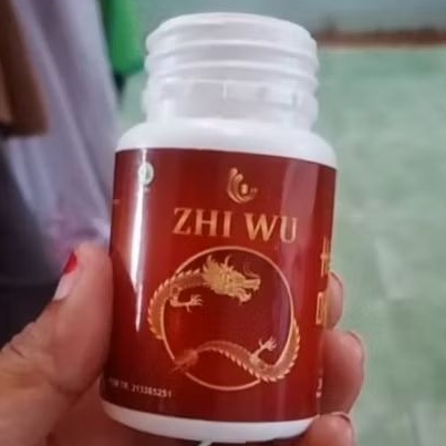 ZHI WU OBAT HERBAL CINA UNTUK SARAF KEJEPIT NYERI PINGGANG MENGHILANGKAN RASA SAKIT TANPA KETERGANTU