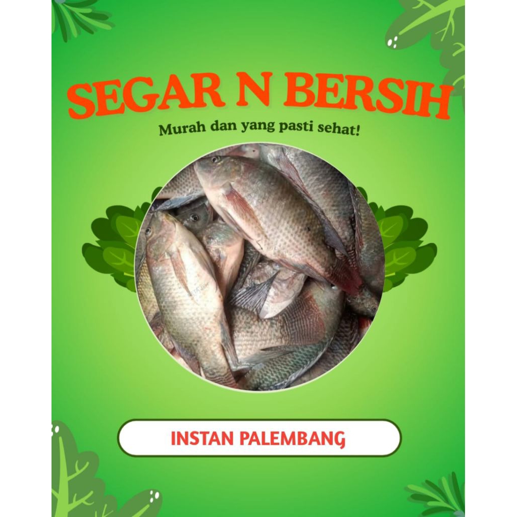 IKAN GURAME/GURAMI SEGAR - INSTAN PALEMBANG
