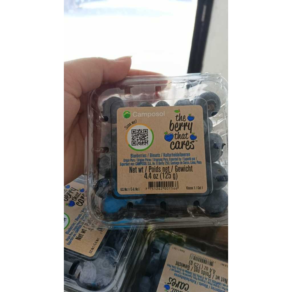 

Blueberry Import (PACK)