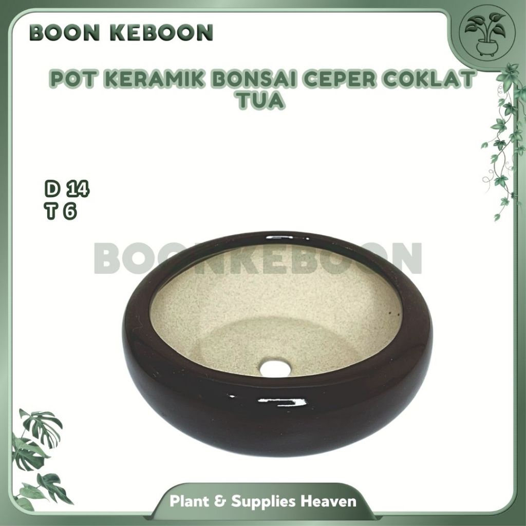 Pot Keramik Bonsai Ceper Coklat Tua