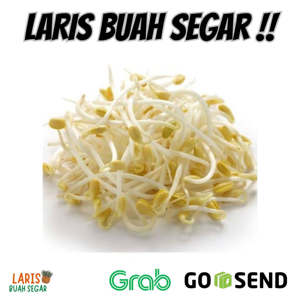 

TOGE SUPER SEGAR 500 GRAM