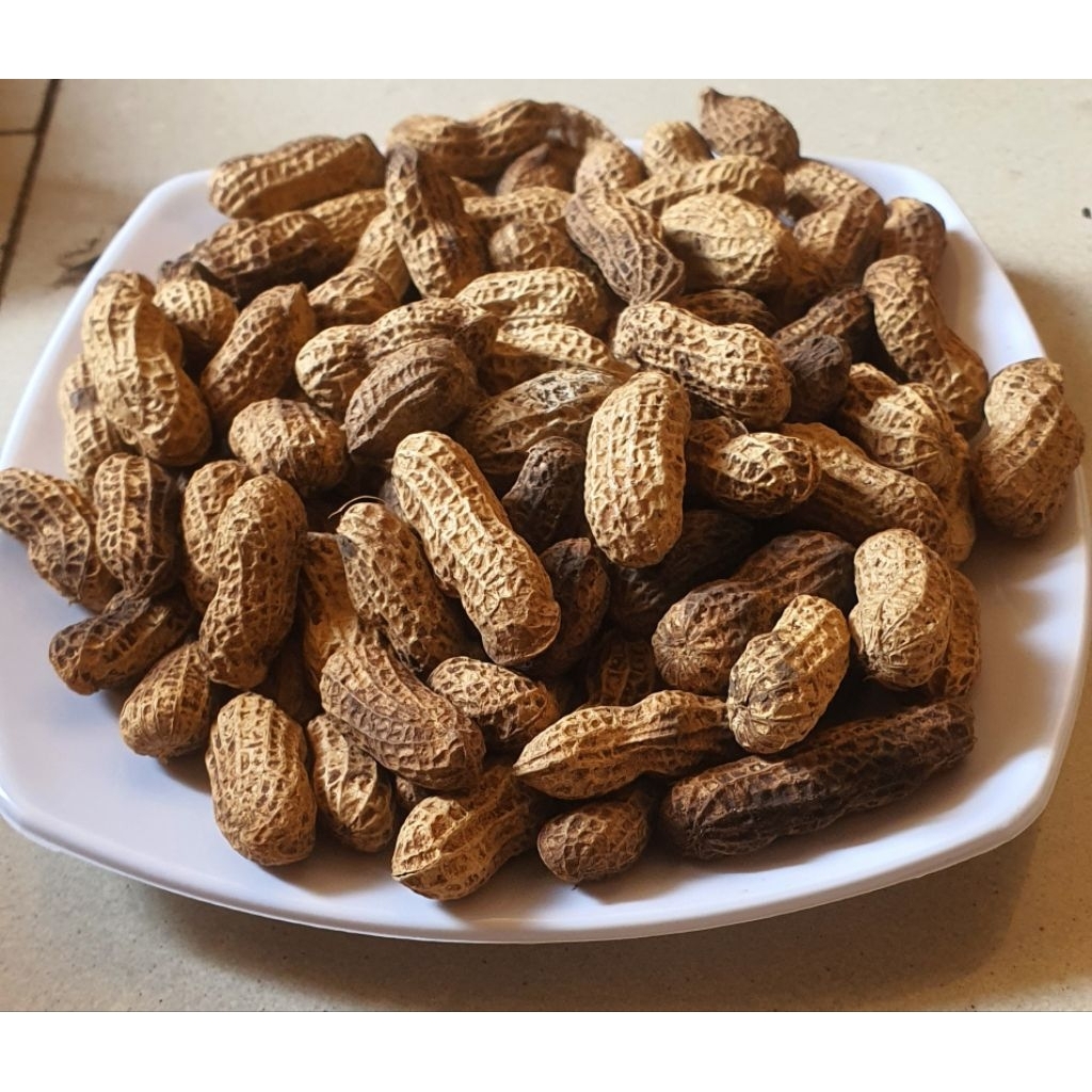 

KACANG BENDO KACANG SANGRAI SNACK KACANG FAVORIT 500GR