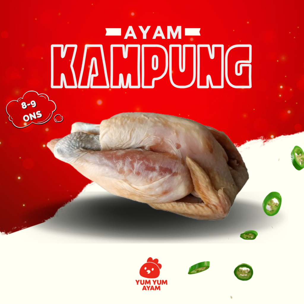 

Ayam Kampung Frozen 100% ASLI Organik Higienis