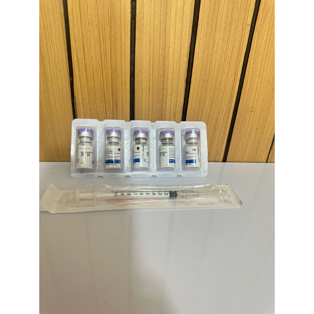 KB Kucing 3 bulan sudah free suntikan