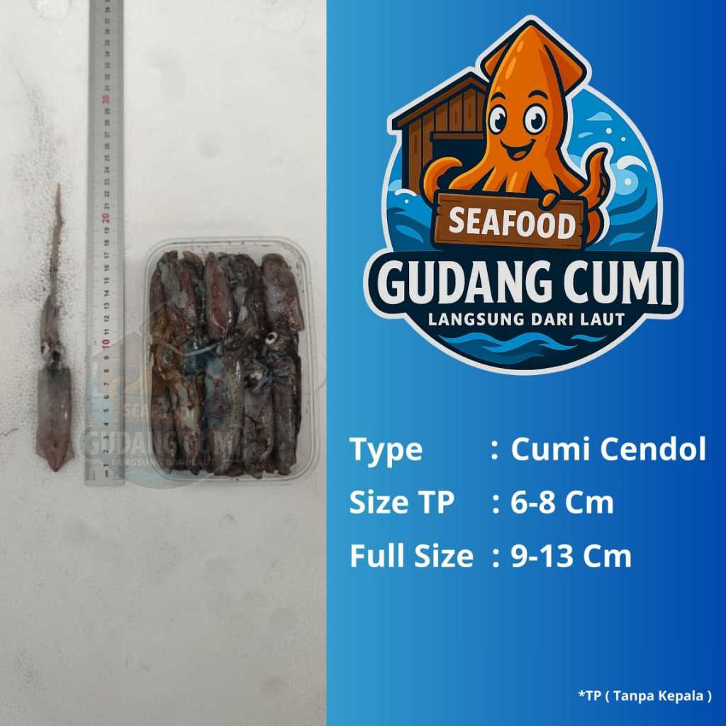 

Cumi Cendol Segar 500g Cumi Tinta Cumi Segar Cumi Besar Cumi Jumbo Cumi Fresh