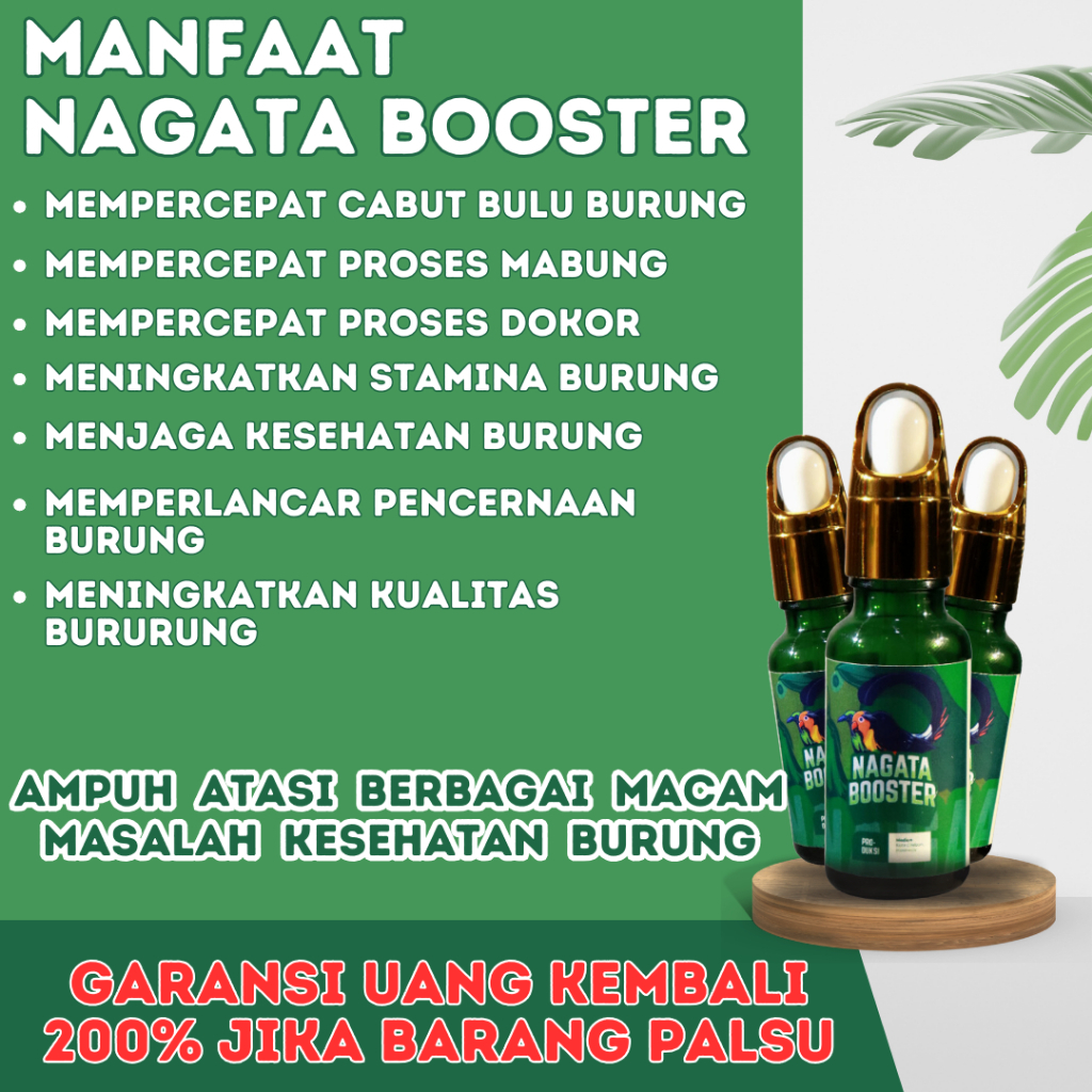 Nagata Booster Vitamin Burung Mabung Dan Bulu || Nagata Booster Untuk Burung Lesu Dan Stres
