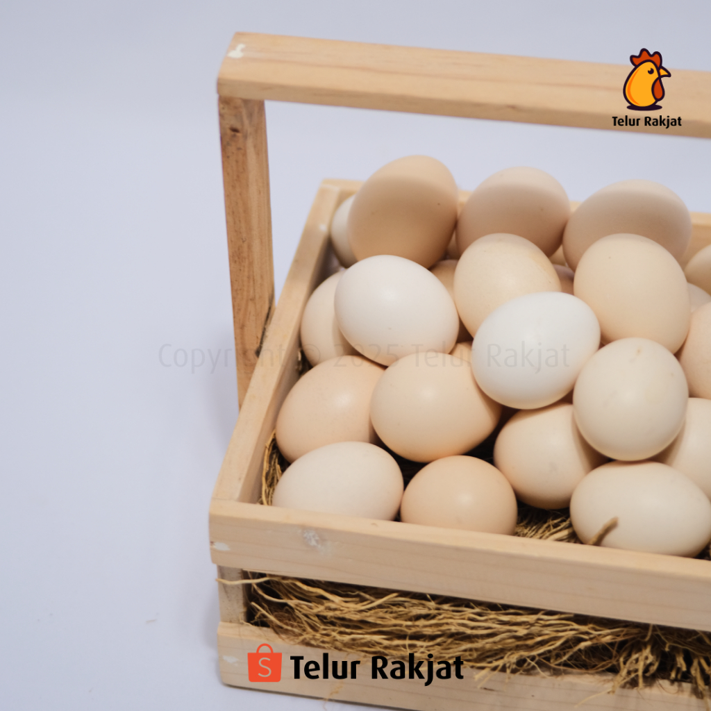 

Telur Ayam Kampung Omega-3