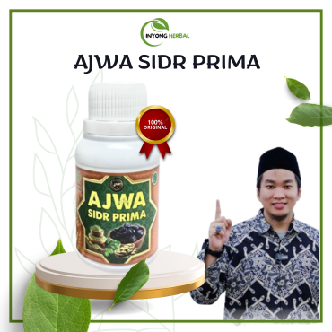 AJWA SIDR PRIMA / Ajwa Sidr Prima