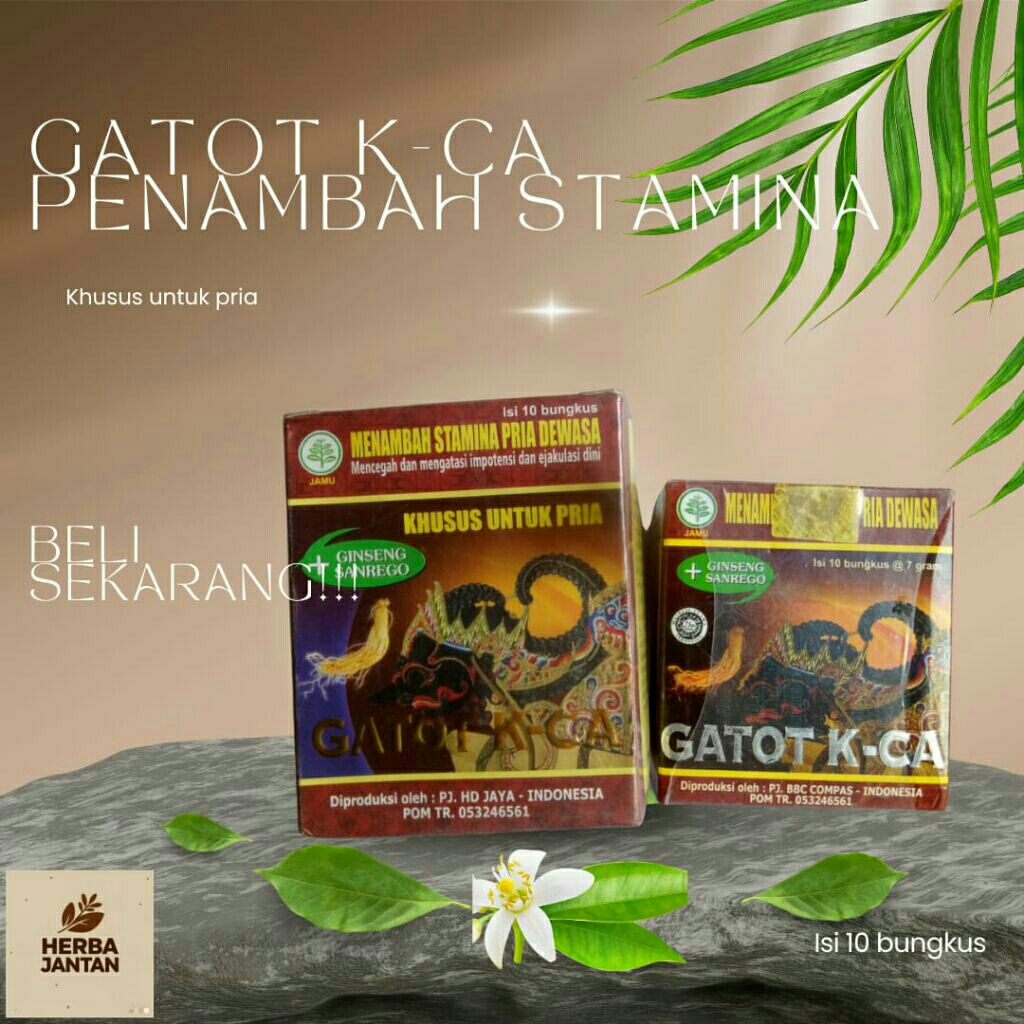 Gatot Kaca kapsul untuk Stamina Pria Dewasa