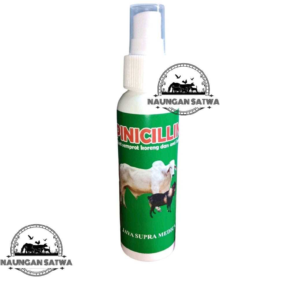 obat koreng dan luka pinisilin spray