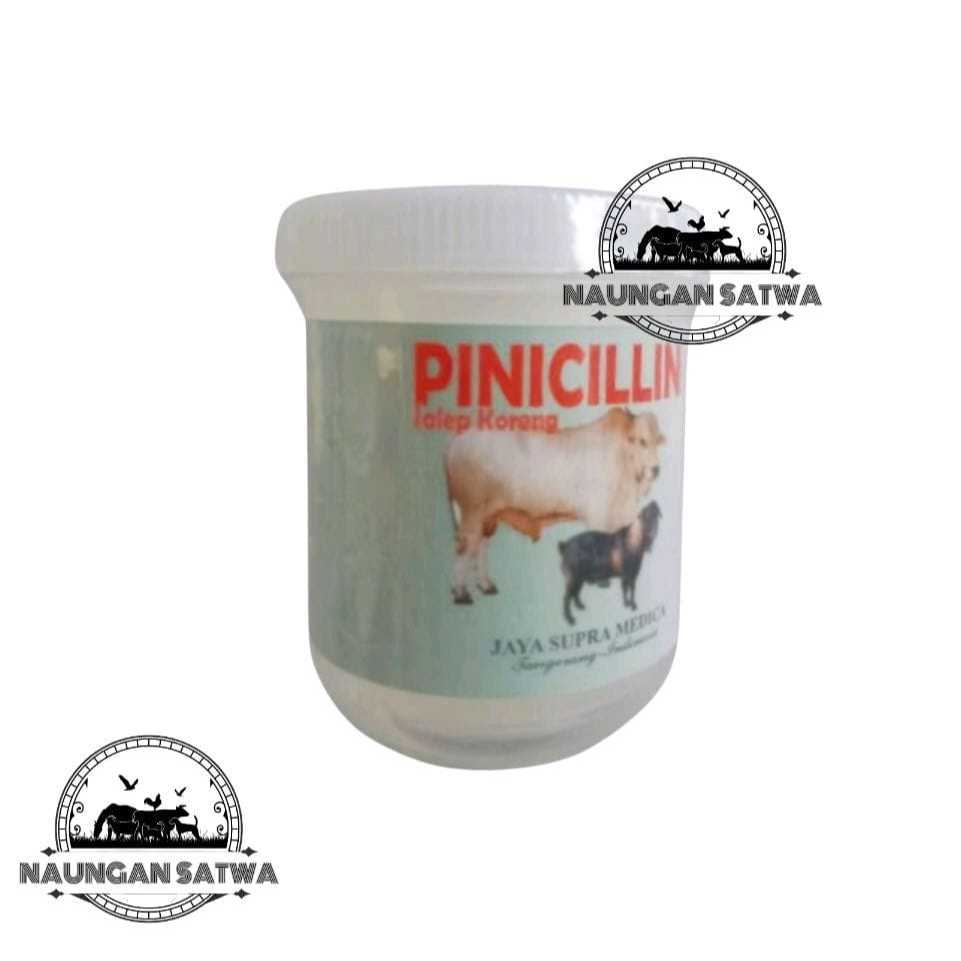 Pinicillin Salep 20 Gram Obat Luka Koreng Hewan / Pinisilin Salep Koreng untuk Hewan