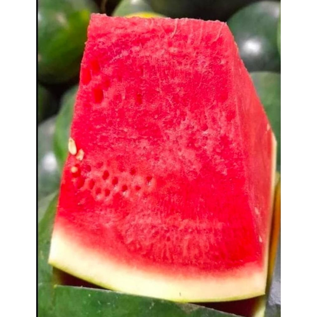 

semangat perpiji kurang lebih 1000gr