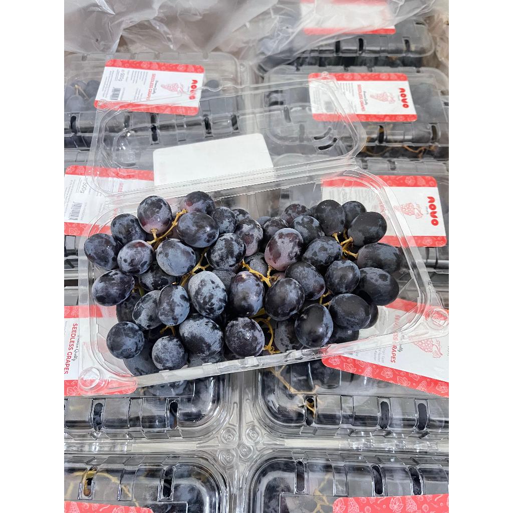 

Anggur Black Autumn Mesir Manis Segar Seedless