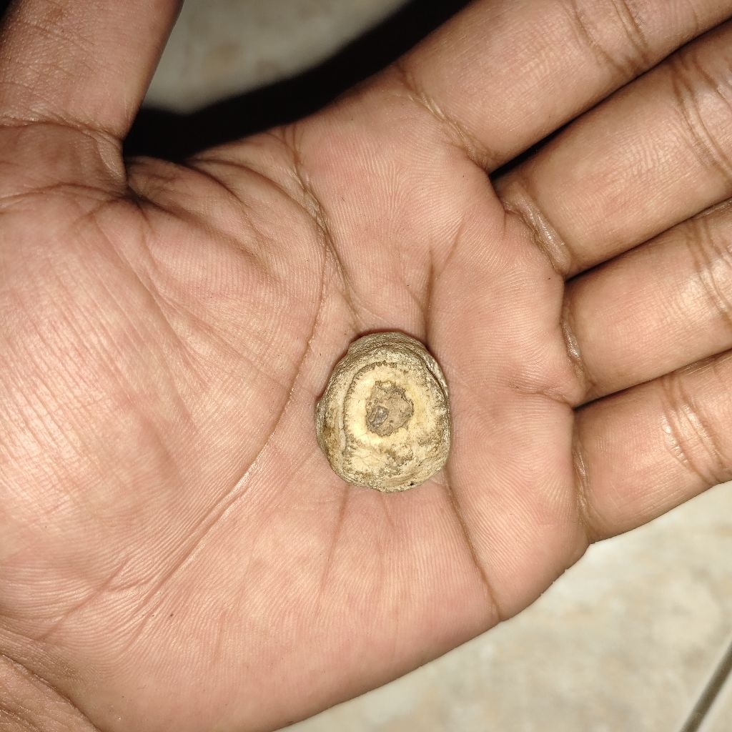 batu unik kuno bmbntk antik peninggalan