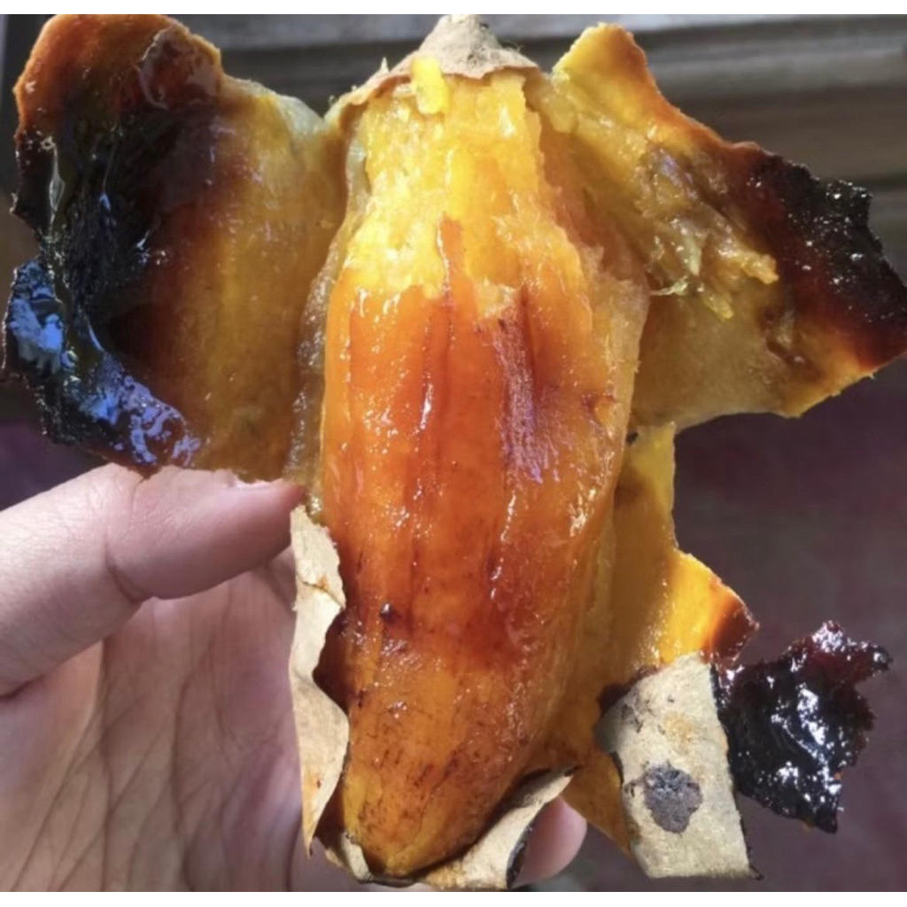 

UBI MADU CILEMBU / UBI CILEMBU OVEN FRESH