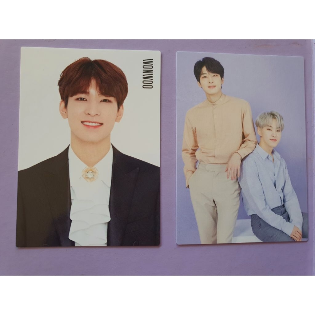 Seventeen Wonwoo TC Japan