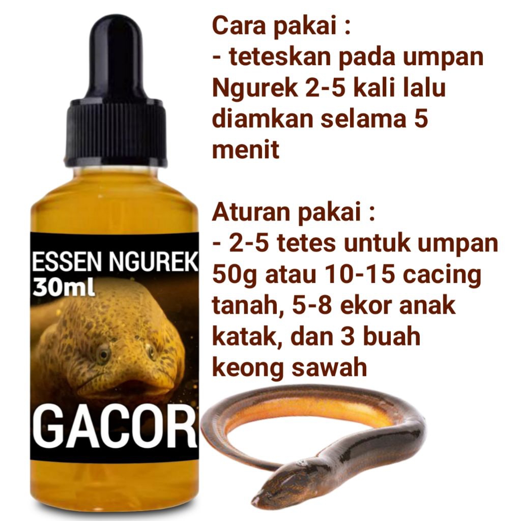 Essen mancing belut gacor