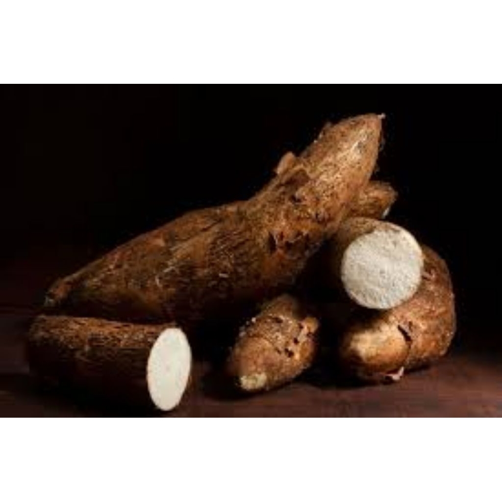 

Ubi Singkong Fresh 1 Kg Baru Panen Pulen Dan Tidak Pahit