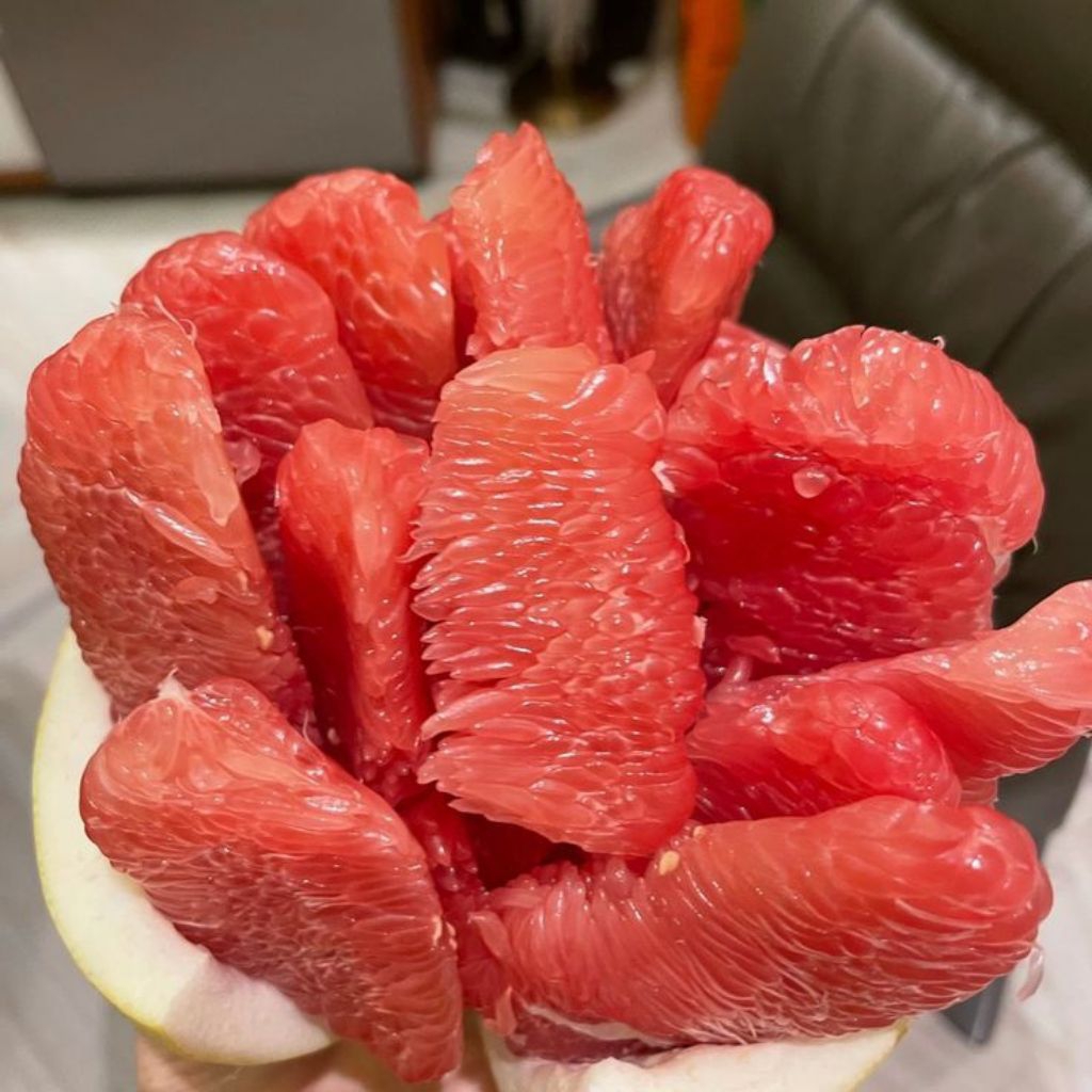Jeruk Bali Kupas 1pack - Buah Segar Daging Merah Manis Segar Tanpa Pahit Tanpa Biji Siap Makan | Has