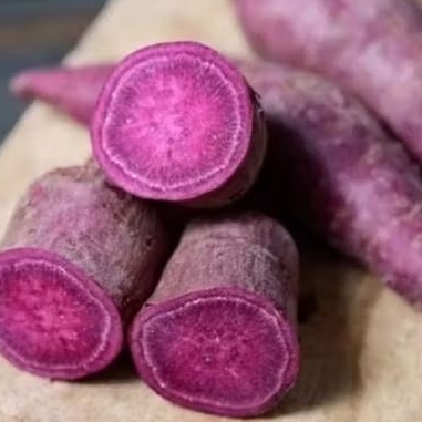 

UBI UNGU SEGAR FRESH TERMURAH CEK !!!