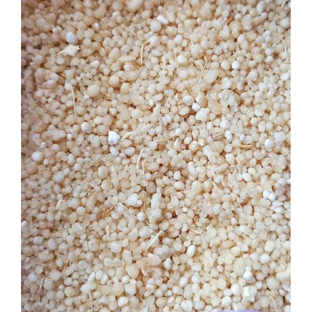 

Oyek singkong 1kg nasi tiwul organik