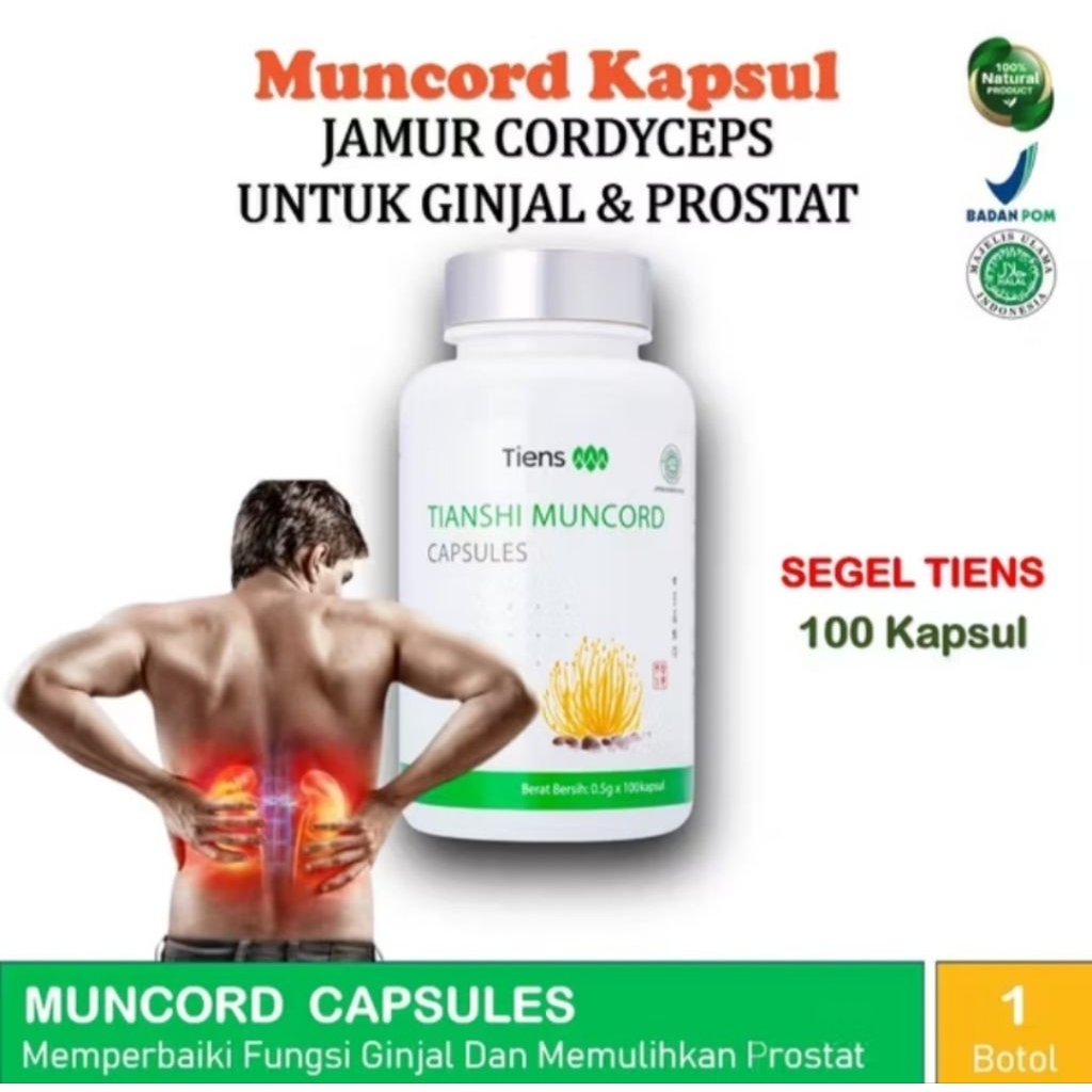 Tiens Muncord Kapsul Jamur Cordyceps Mycelium Mengobati Gagal Ginjal Batu Ginjal Prostat Dan ISK