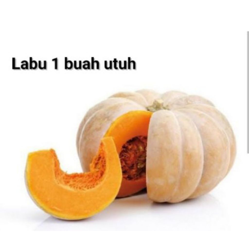 

LABU TUA / KUNING LABU MUDA / HITAM 1 BUAH UTUH MURAH