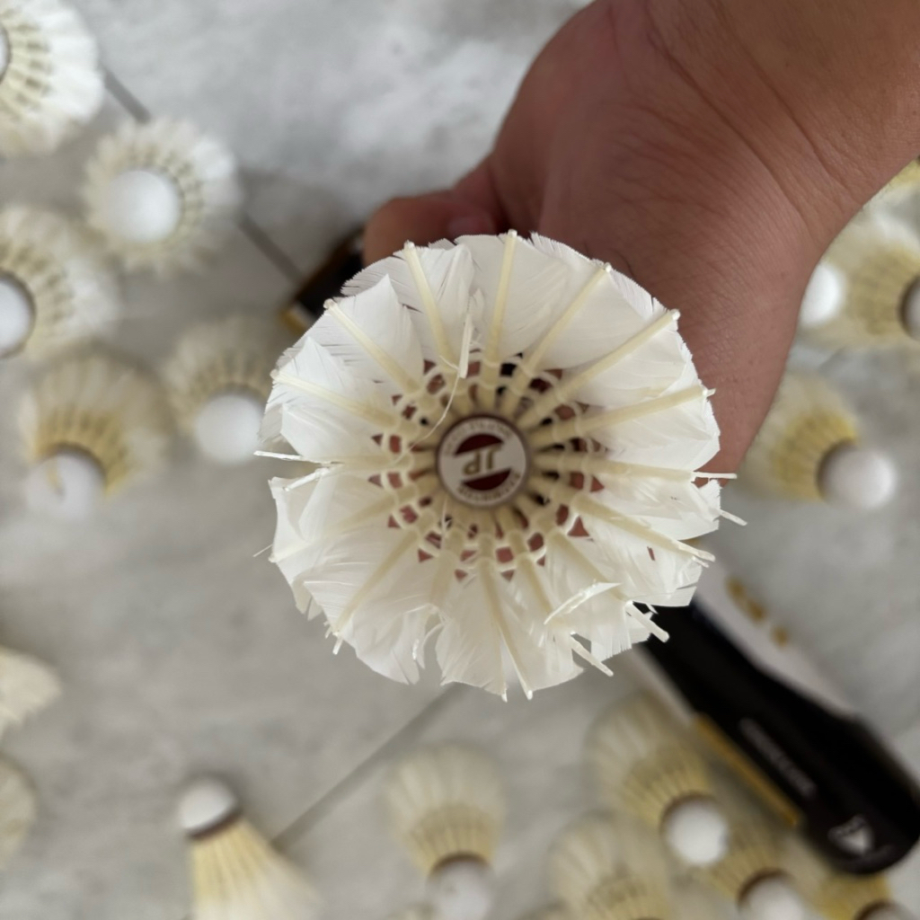 Shuttlecock Badminton JP GOLD bekas 70%-80%