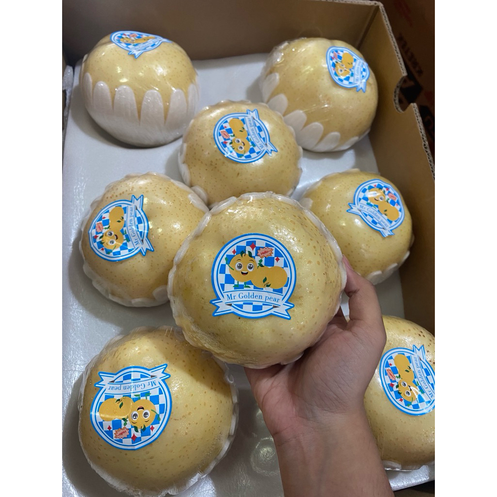 

BUAH GOLDEN PEAR PENGHILANG PANAS DALAM TERMURAH MANTAP
