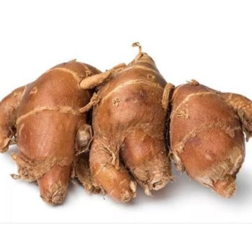 

kencur tua satukilo gram