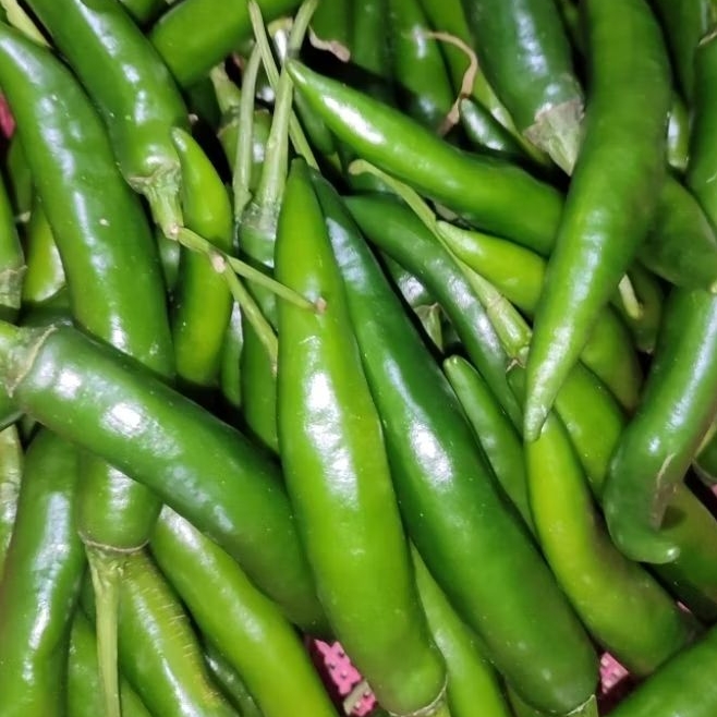 

CABE HIJAU BESAR 250g