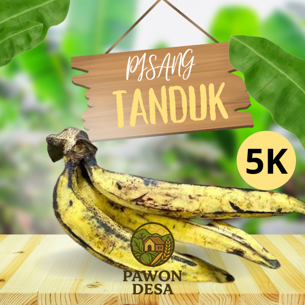 

Pisang Tanduk Satuan – Buah Segar Asli Desa | Pawon Desa