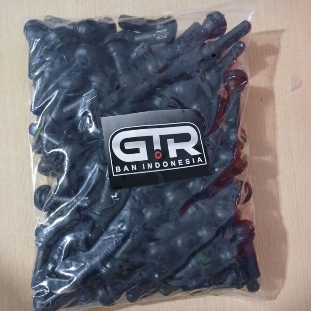 Pentil TR413 iso 9001