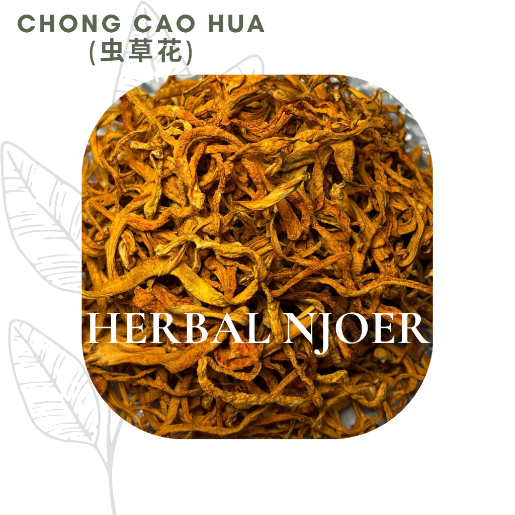 

CHONG CAO HUA /JIN CHONG CAO / CORDYCEPS FLOWER 10gr - 50gr