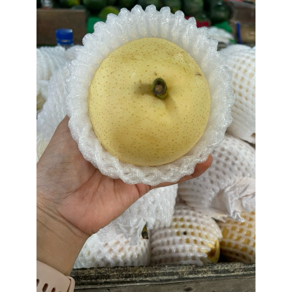 

Buah Pear century 1Kg