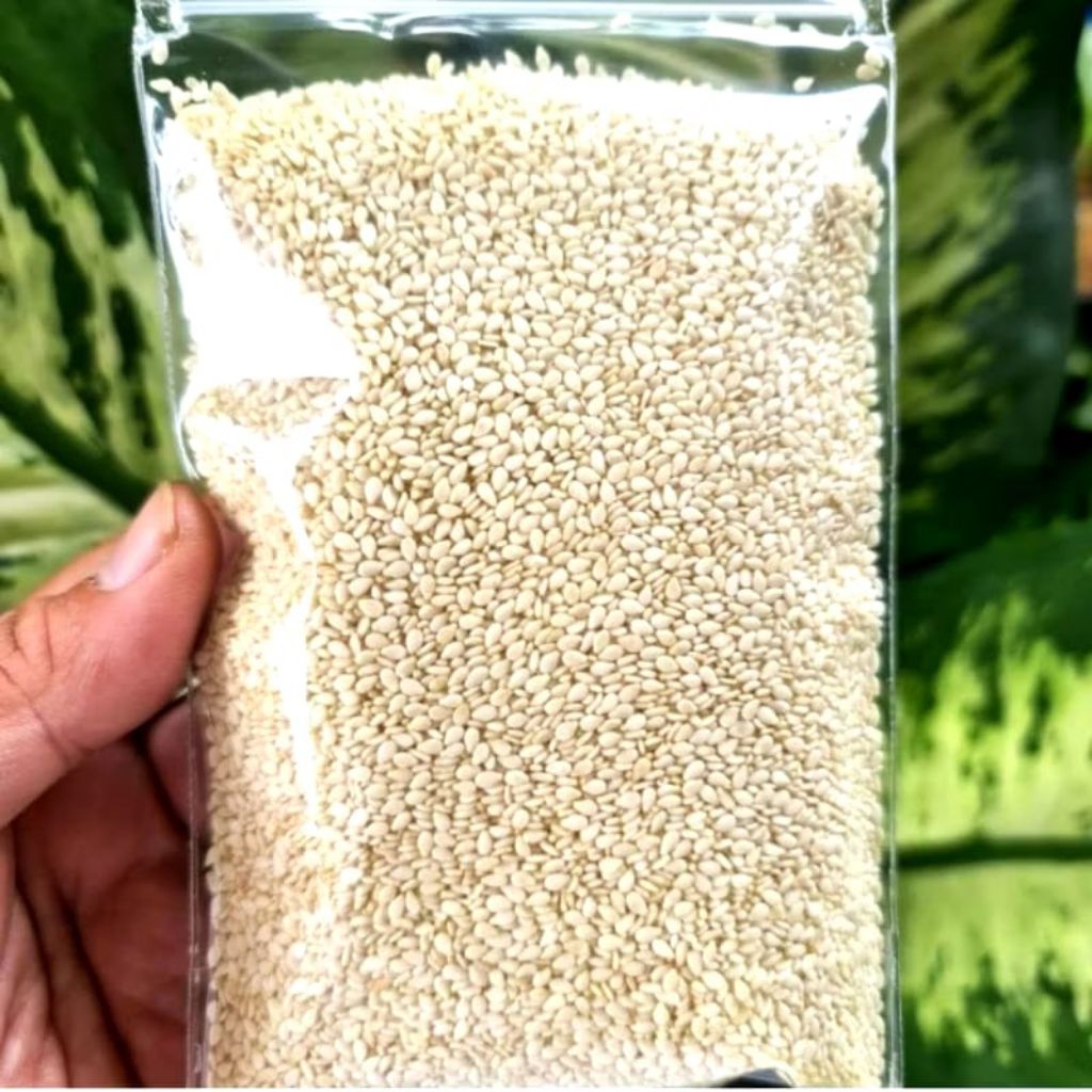 

Biji Wijen Putih 100gr - White Sesame Seeds Premium Quality