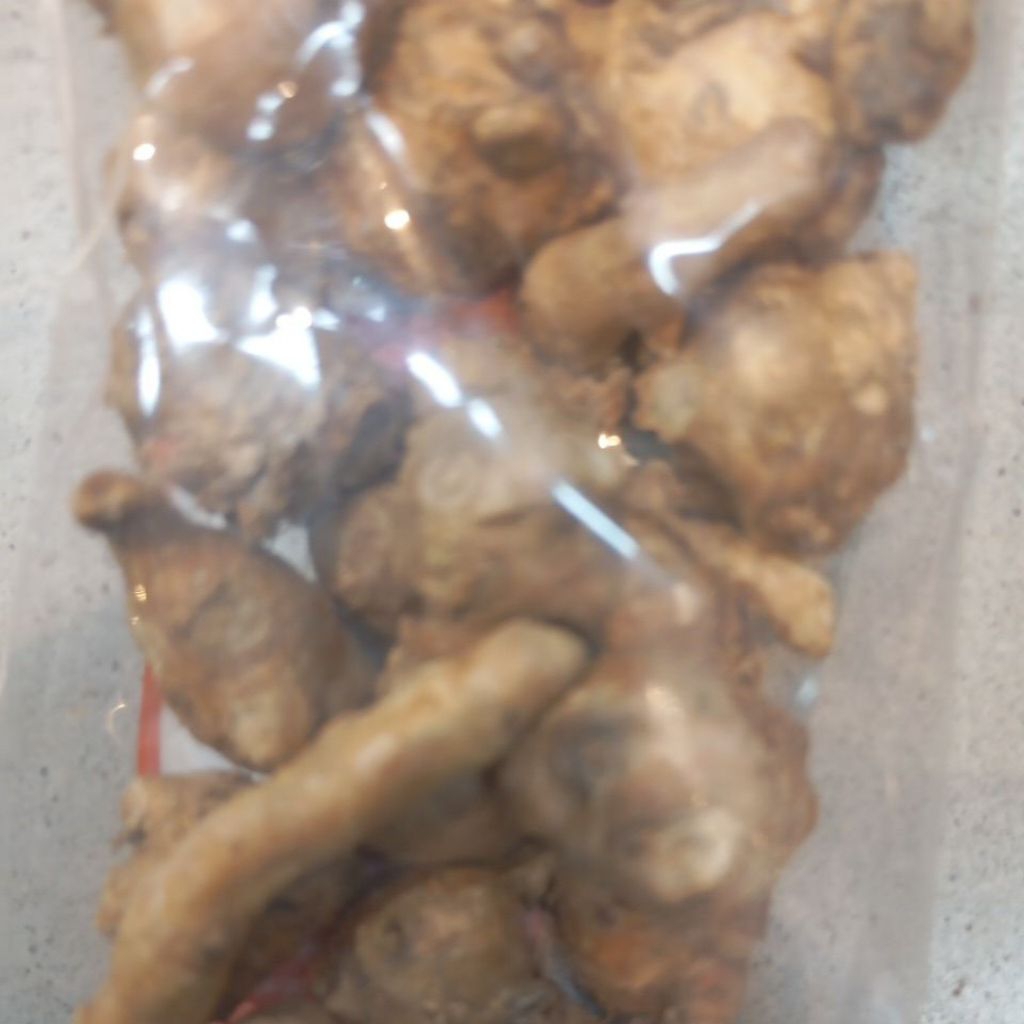 

Temu Kunci empon empon