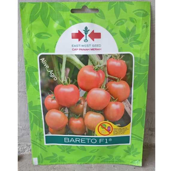 Benih Tomat Bareto F1 150 Butir
