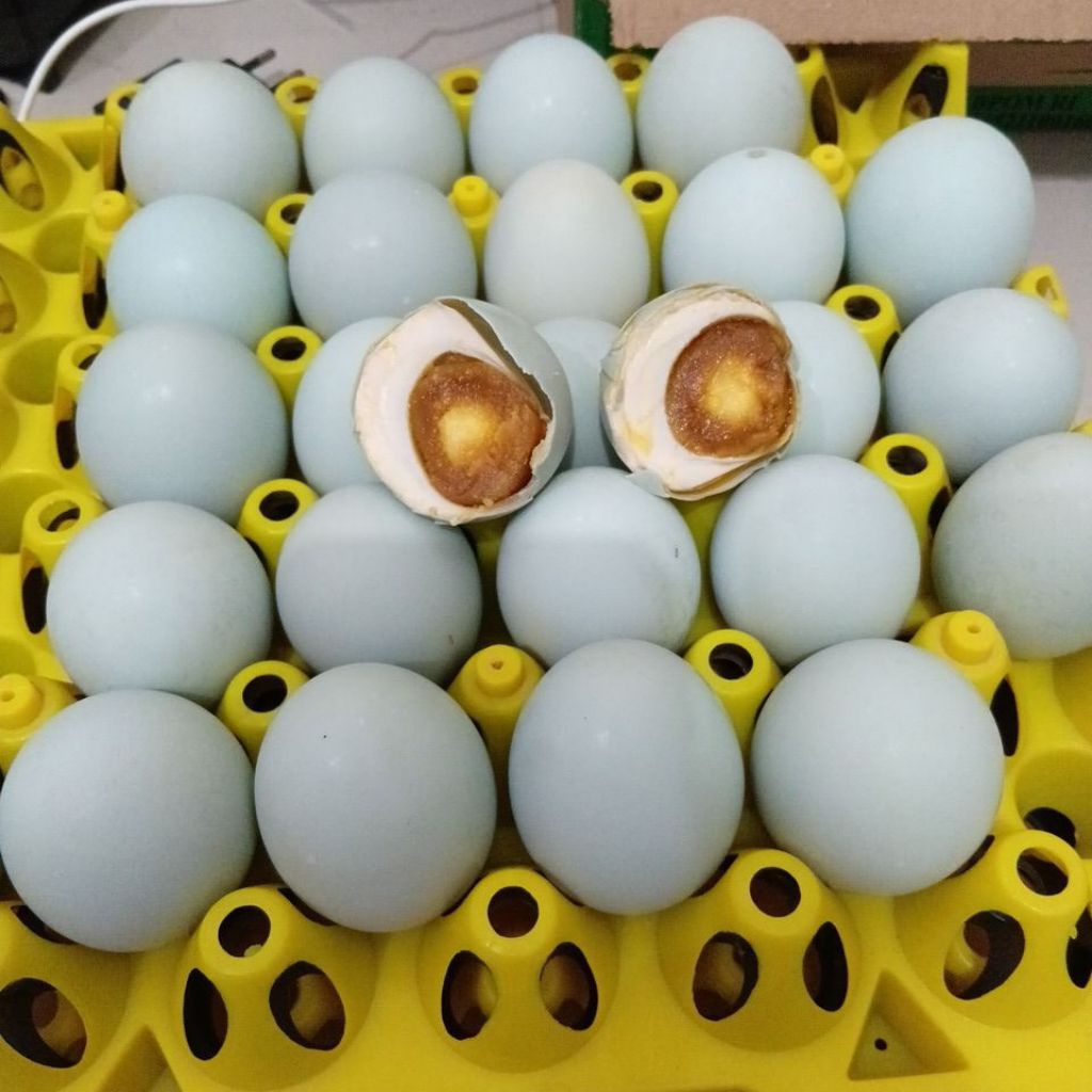 

TELOR ASIN MATANG ISI 10 BIJI MASIR BERGIZI