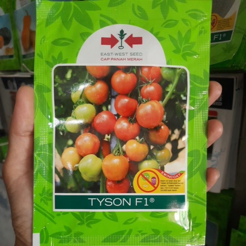 Benih Tomat Dataran Rendah TYSON F1 Isi 1750biji Exp 12/26