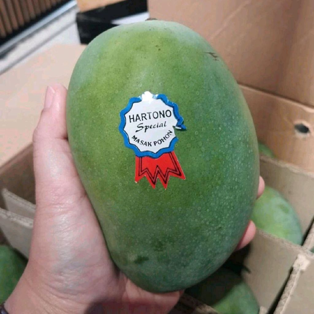 

Buah mangga spesial asli Hartono mangga matang pohon manis super 1 kg