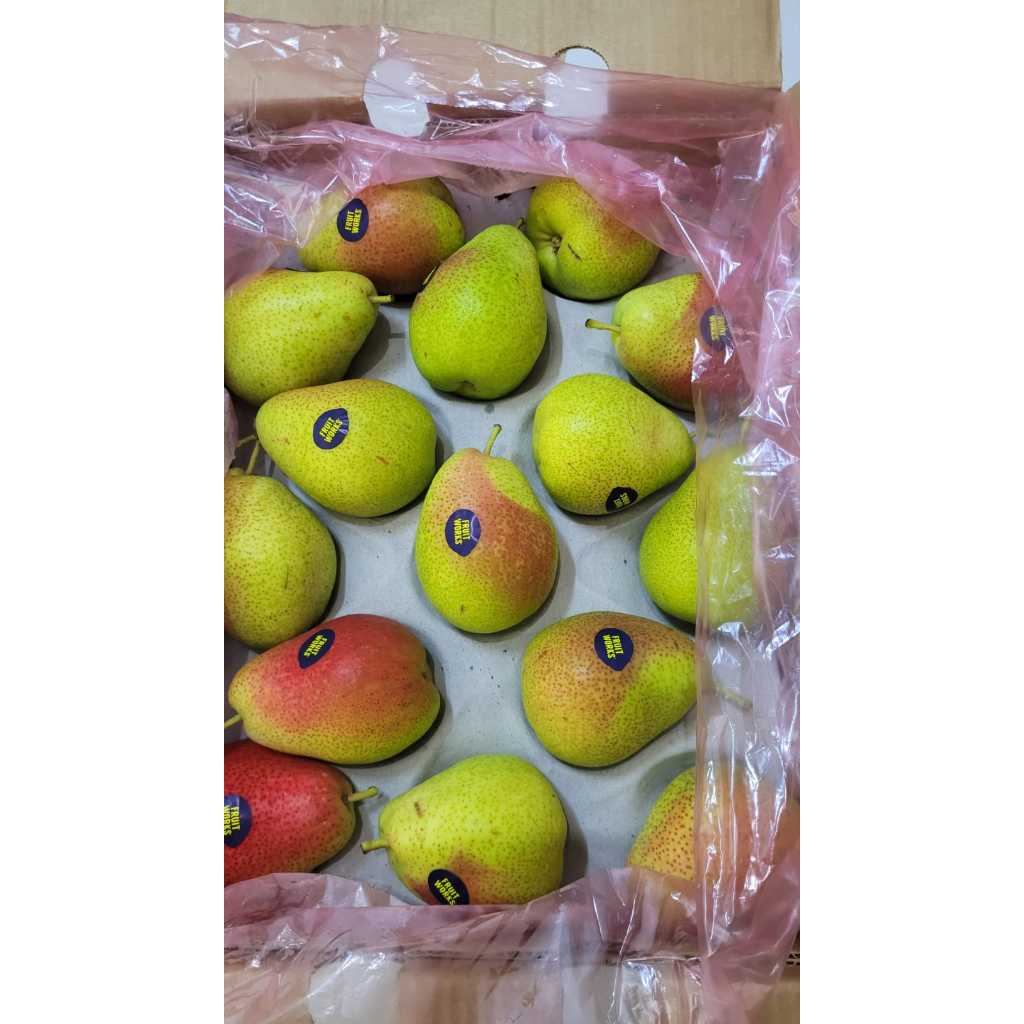 

Buah Pear Pir Forelle manis dan garing 1 kg