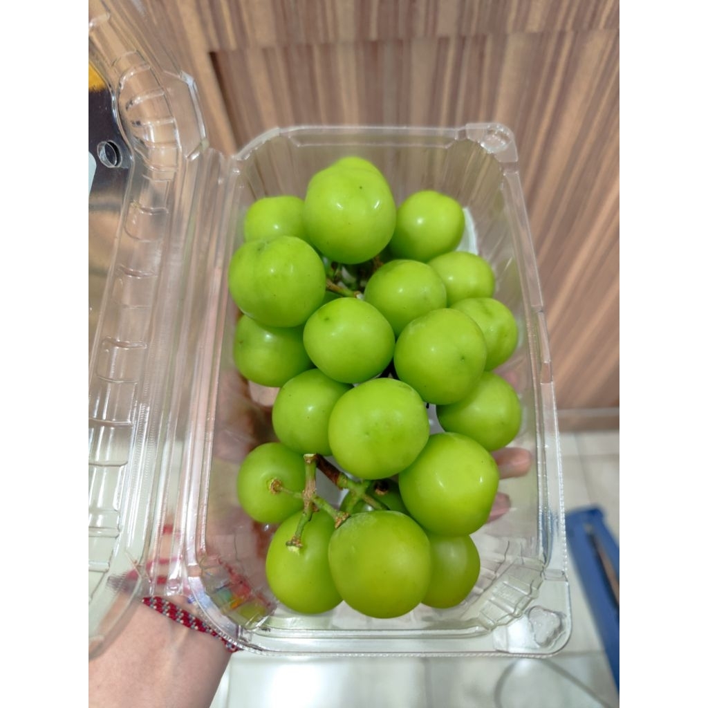 

Buah Anggur Muscat Hijau 500gr