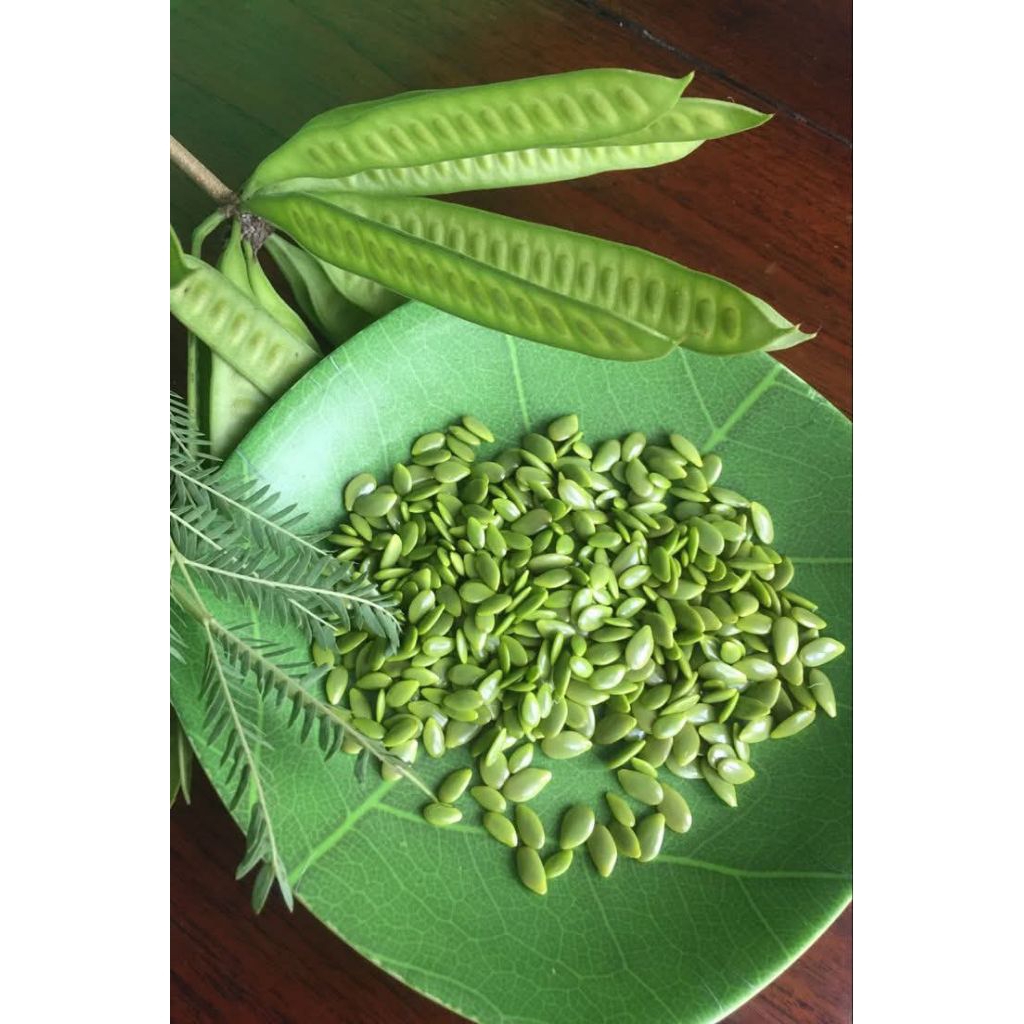 

PETAI CINA / PETE CINA / LAMTORO KUPASAN 100GRAM FRESH