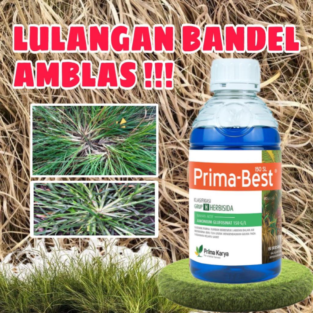 Herbisida Rumput Lulangan kontak sistemik - Prima best Prima karya