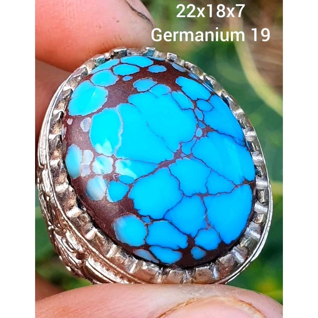 pirus Mesir serat merah