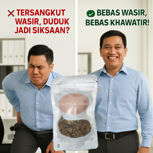 

Obat wasir Herbal Obat Herbal Daun Ungu Wasir Ambeien Ambeyen Paling Ampuh Original Ambesir