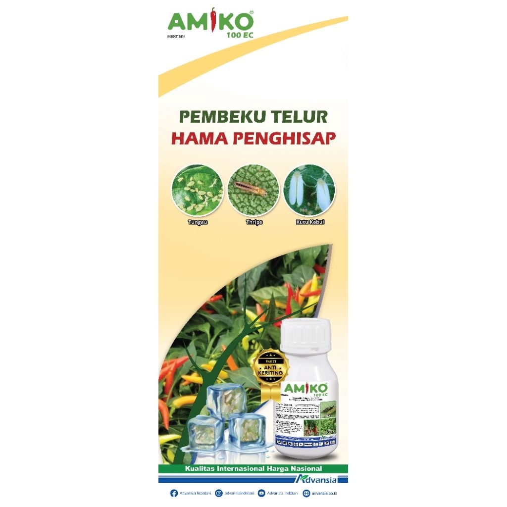 AMIKO 100 EC
