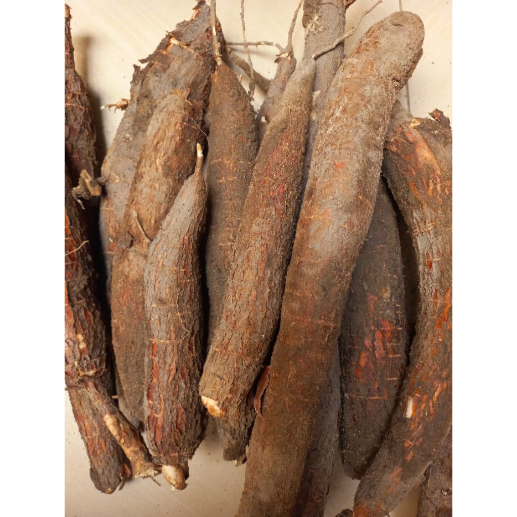 

Singkong / Ubi Kayu / Cassava per Kg